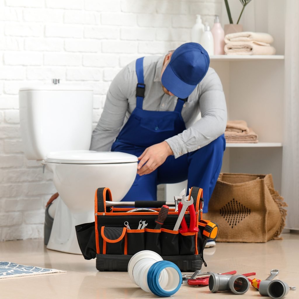 Toilet Repair Longmont